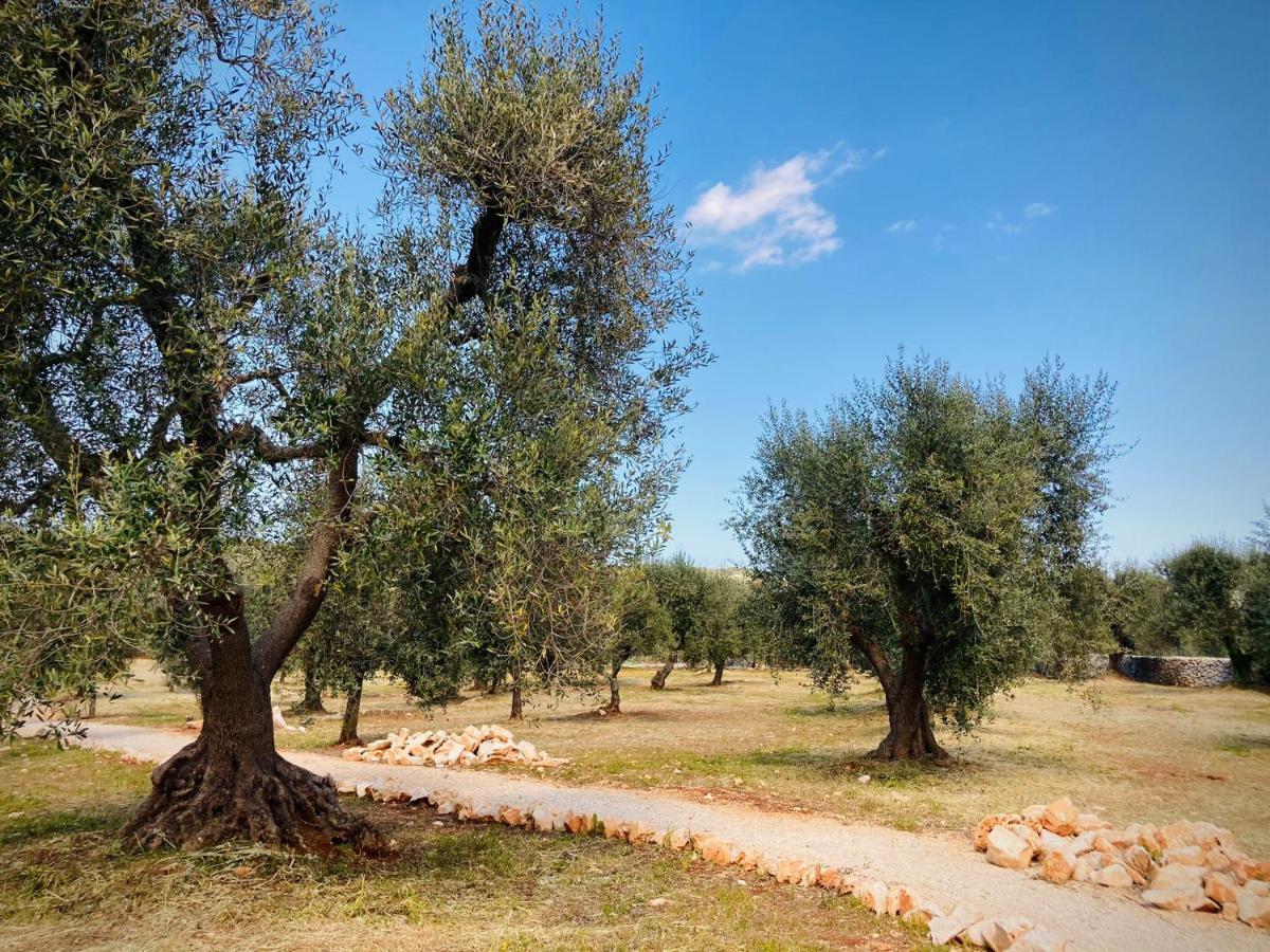 Вилла Trulli Acquasala - Apulian Country Experience Остуни Экстерьер фото