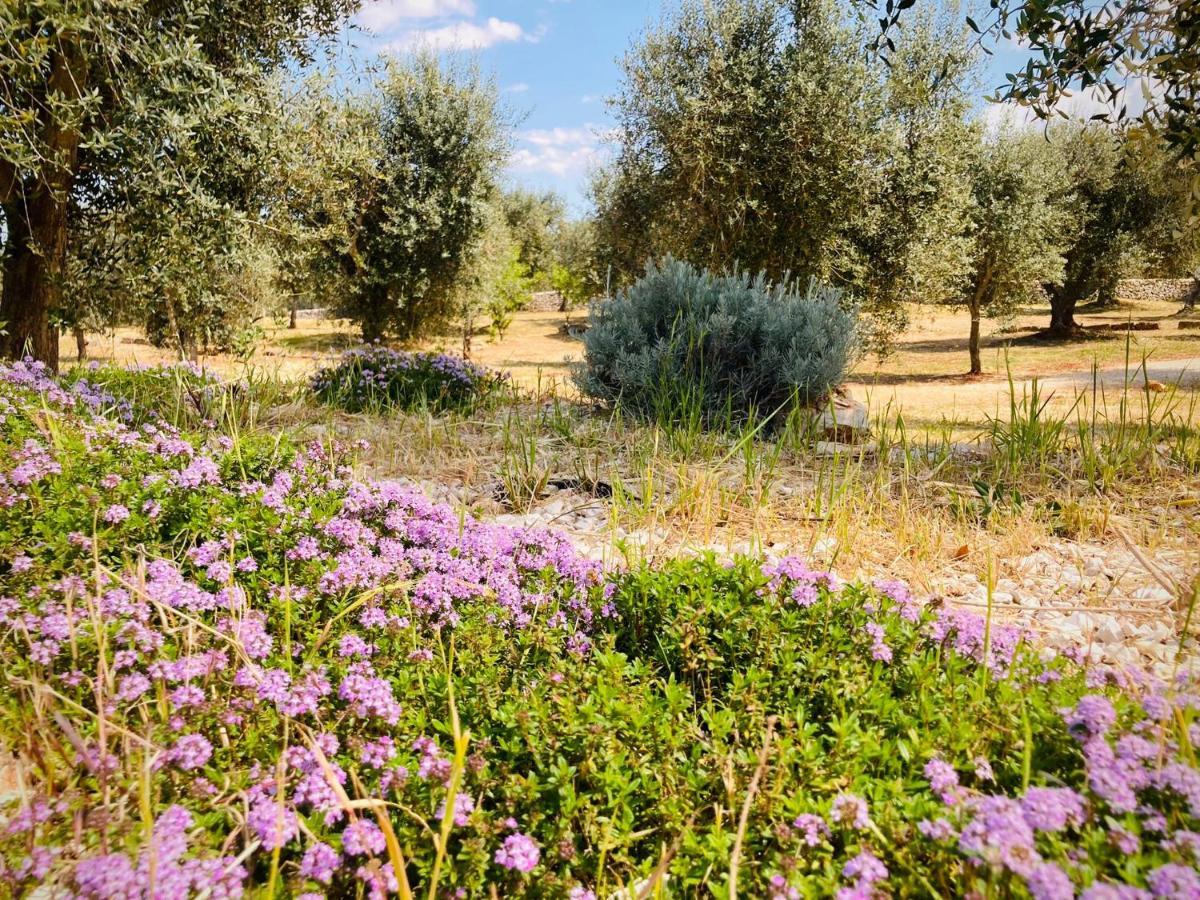 Вилла Trulli Acquasala - Apulian Country Experience Остуни Экстерьер фото