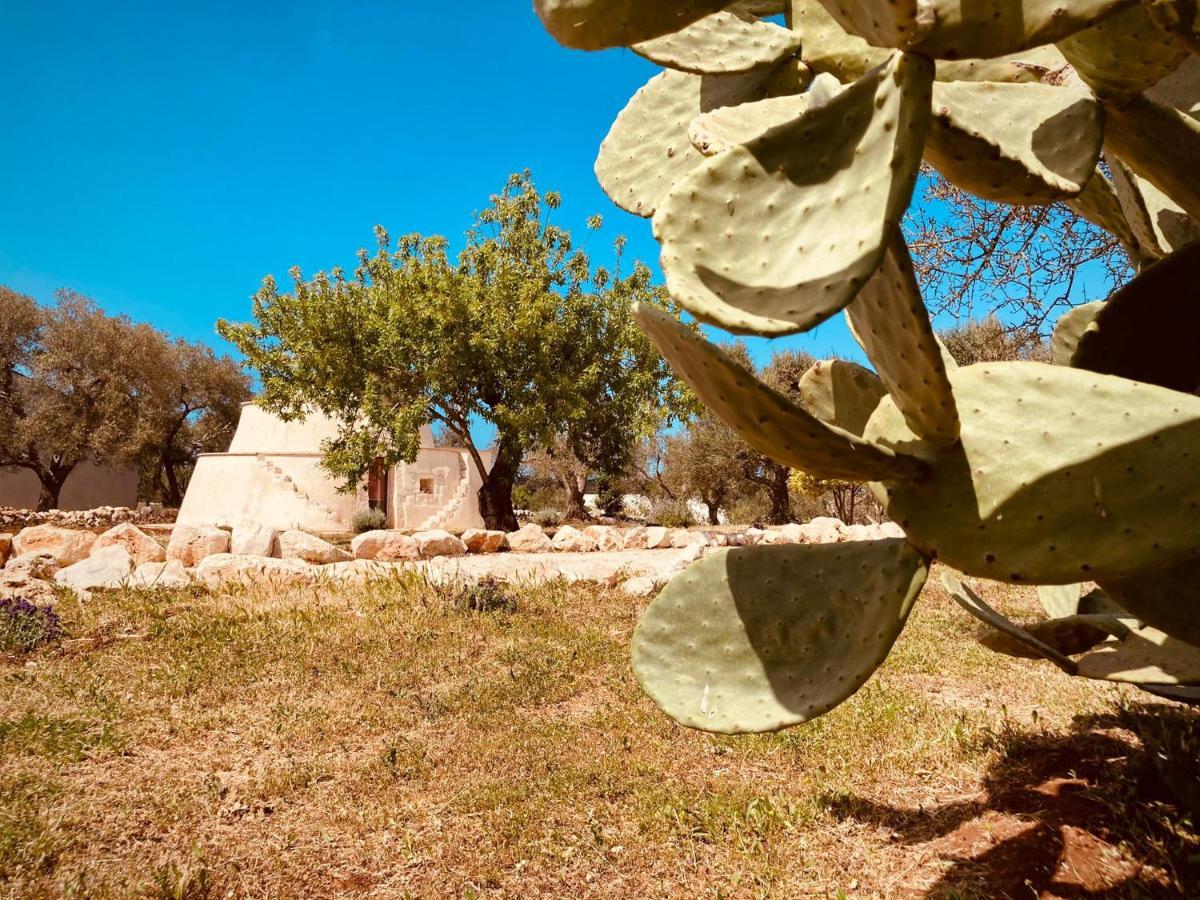 Вилла Trulli Acquasala - Apulian Country Experience Остуни Экстерьер фото