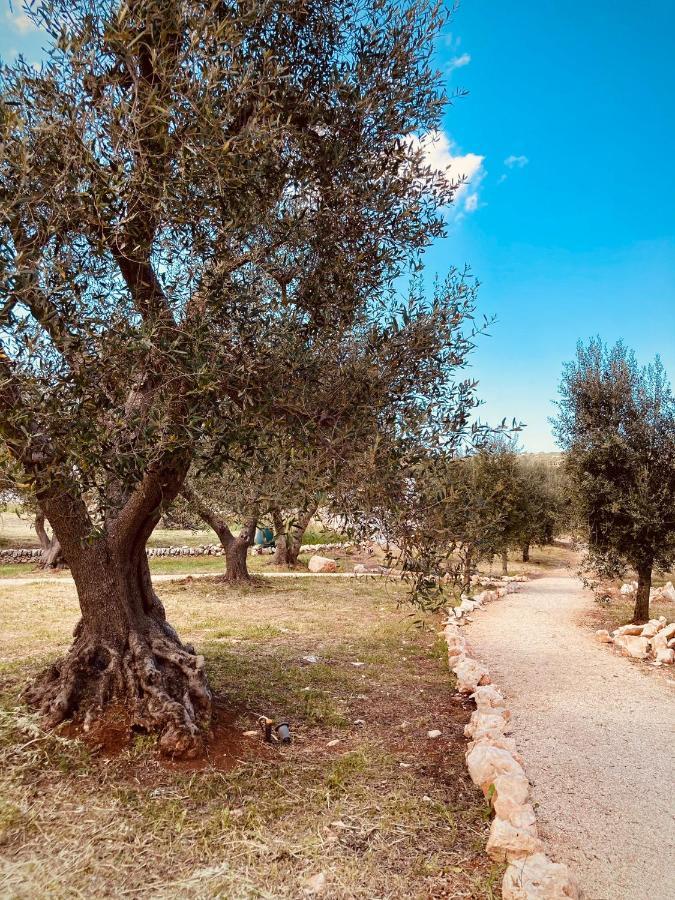 Вилла Trulli Acquasala - Apulian Country Experience Остуни Экстерьер фото