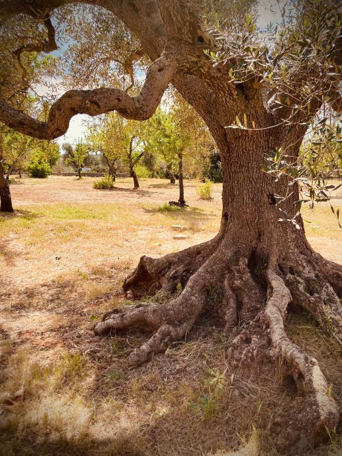 Вилла Trulli Acquasala - Apulian Country Experience Остуни Экстерьер фото